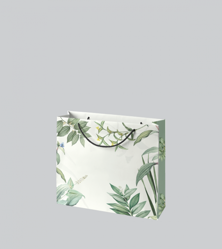 PAPER BOTANICAL L